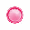 Hot Pink Paper Plates 12x9in