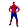 Spider Hero