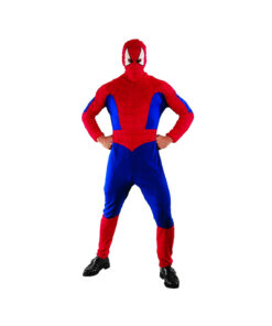 Spider Hero
