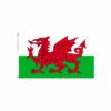 Wales Flag 90x150cm