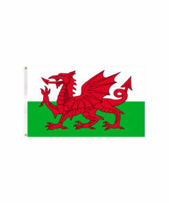 Wales Flag 90x150cm