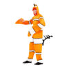 Clown Fish