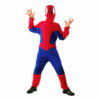 Spider Hero Child