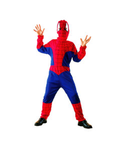 Spider Hero Child