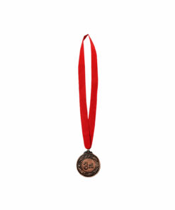 Bronze Prize Medal