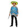 Blue Poncho Adult