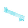 Customized Sash - Baby Blue