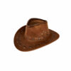 Brown Cowboy Hat