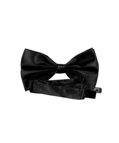Alternative view of Black Bow Tie