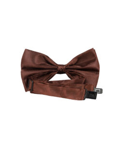 Alternative view of Brown Bow Tie