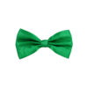 Green Bow Tie