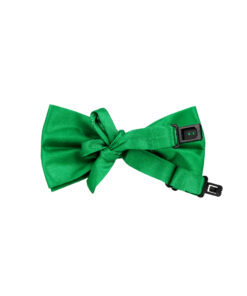 Alternative view of Green Bow Tie
