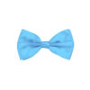 Light Blue Bow Tie