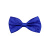 Royal Blue Bow Tie