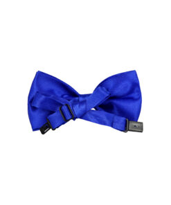 Alternative view of Royal Blue Bow Tie