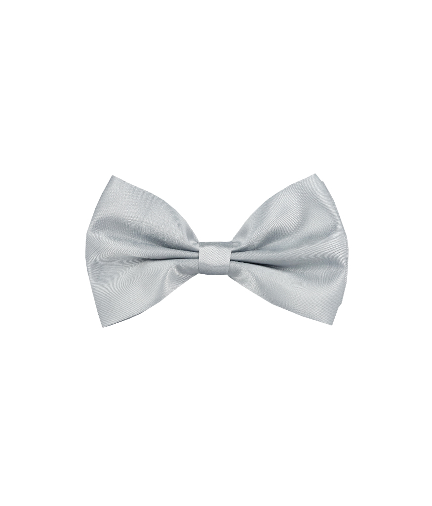 Silver Bow Tie | LookSharpStore