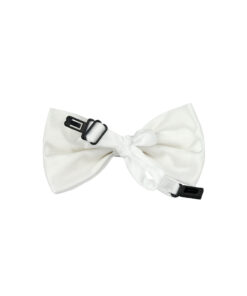Alternative view of White Bow Tie