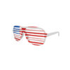 USA Shutter Shade Glasses