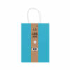 Light Blue Large Paper Bag 2pcs
