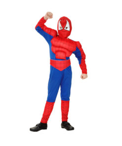 Lil Muscle Spider Hero