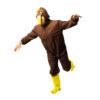 Kiwi Bird