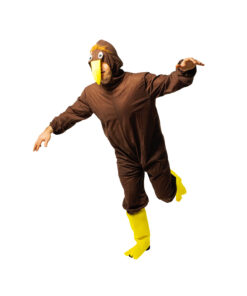 Kiwi Bird