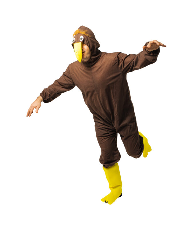 Kiwi Bird LookSharpStore