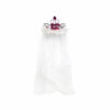 Bride To Be Tiara with Veil