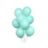 Pastel Green Latex Balloons 12inch 20pk