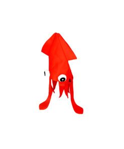 Alternative view of Squid Hat
