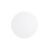 Round white masonite cake board in size of 10in