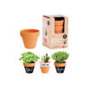 Terracotta Pots Mini 3 Pack