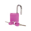 Pink padlock with pink keys