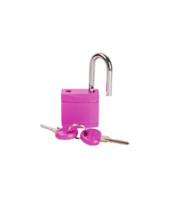 Padlock With 2 Keys Set 32mm