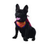 Superhero dog Halloween costume with red cape