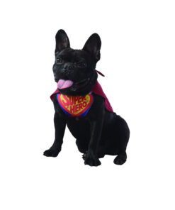 Superhero dog Halloween costume with red cape