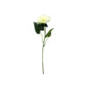 Single gerbera in white colour
