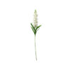 Single delphinium in white colour and length of 90cm