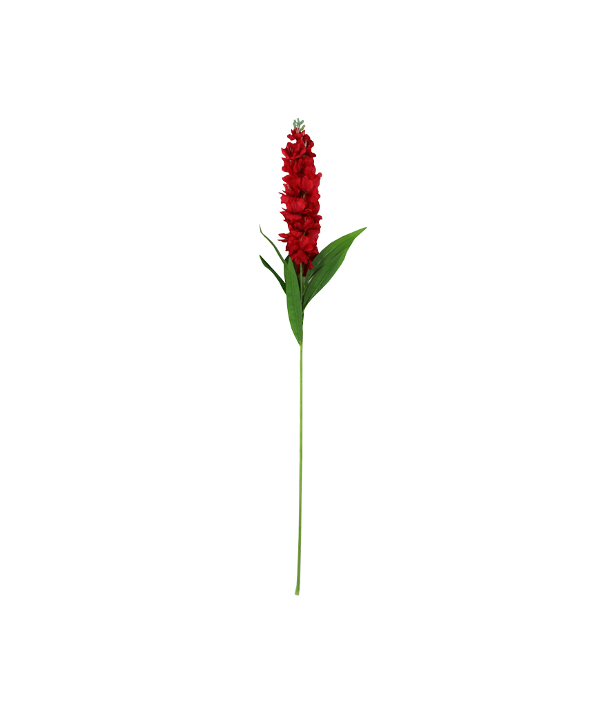 Red Single Delphinium 90cm | LookSharpStore