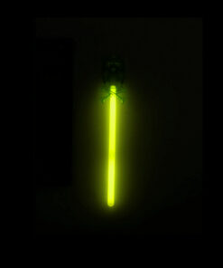 Glow in the dark stick with skull in yellow colour coming in pack of 1