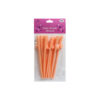 Novelty Natural Dicky Straws 10pc
