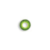 Green 2 Tone Contact Lens
