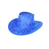 Blue Cowboy Hat