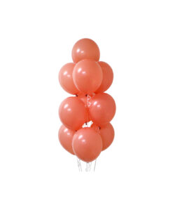 Pink Morandi Latex Balloons 12inch 20pk