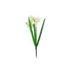 White Daffodil 48cm