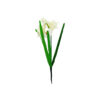 White Daffodil 48cm