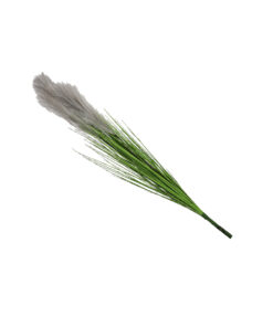 Grey Silk Reed 88cm
