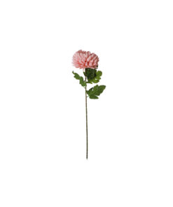 Peach Chrysanthemum Pongee 70cm