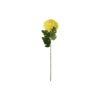 Yellow Chrysanthemum Pongee 70cm
