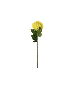 Yellow Chrysanthemum Pongee 70cm